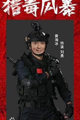 猎毒风暴海报